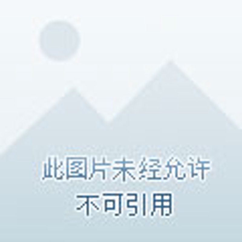 微信小程序开发,引领移动互联网新潮流